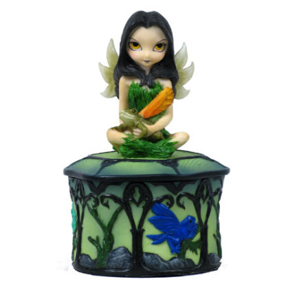 My Fairy Frog Friend Box - Jasmine Becket