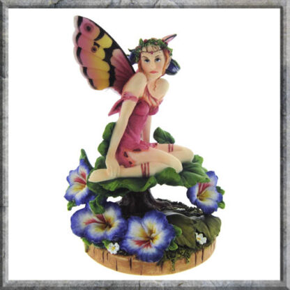 Viola Pansy Fairy