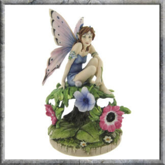 Anemone Fairy