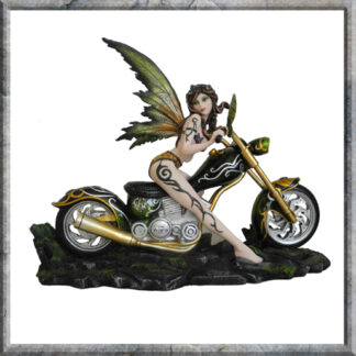 Fairy Rider